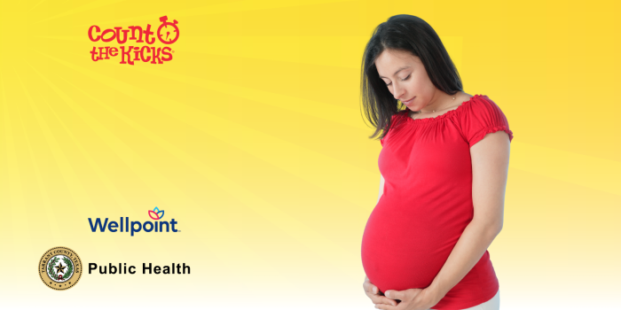 A pregnant woman in a red shirt cradles her belly against a yellow background with "Count the Kicks" text. Logos: Wellpoint and Public Health.