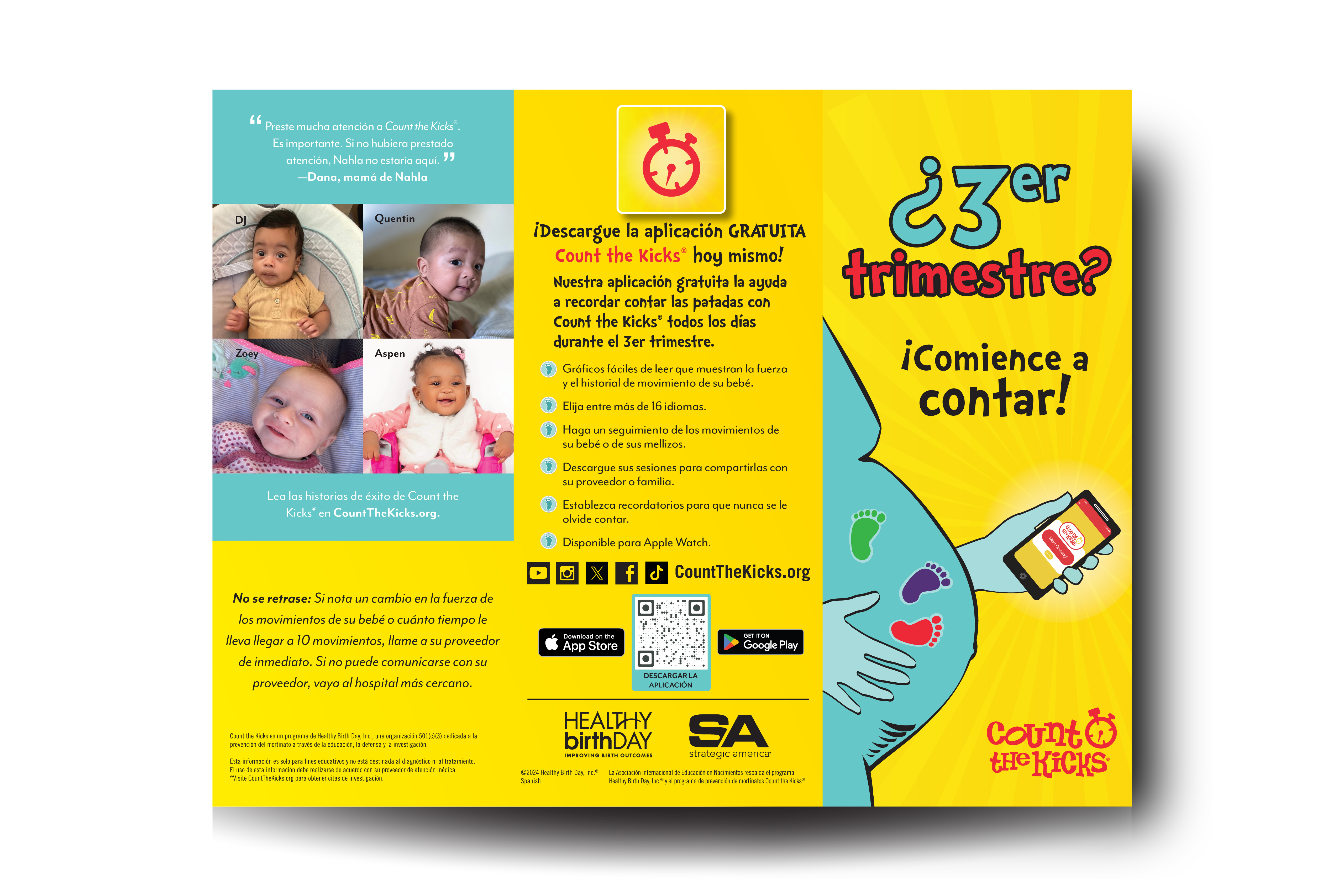 Brochure (Spanish) – LA