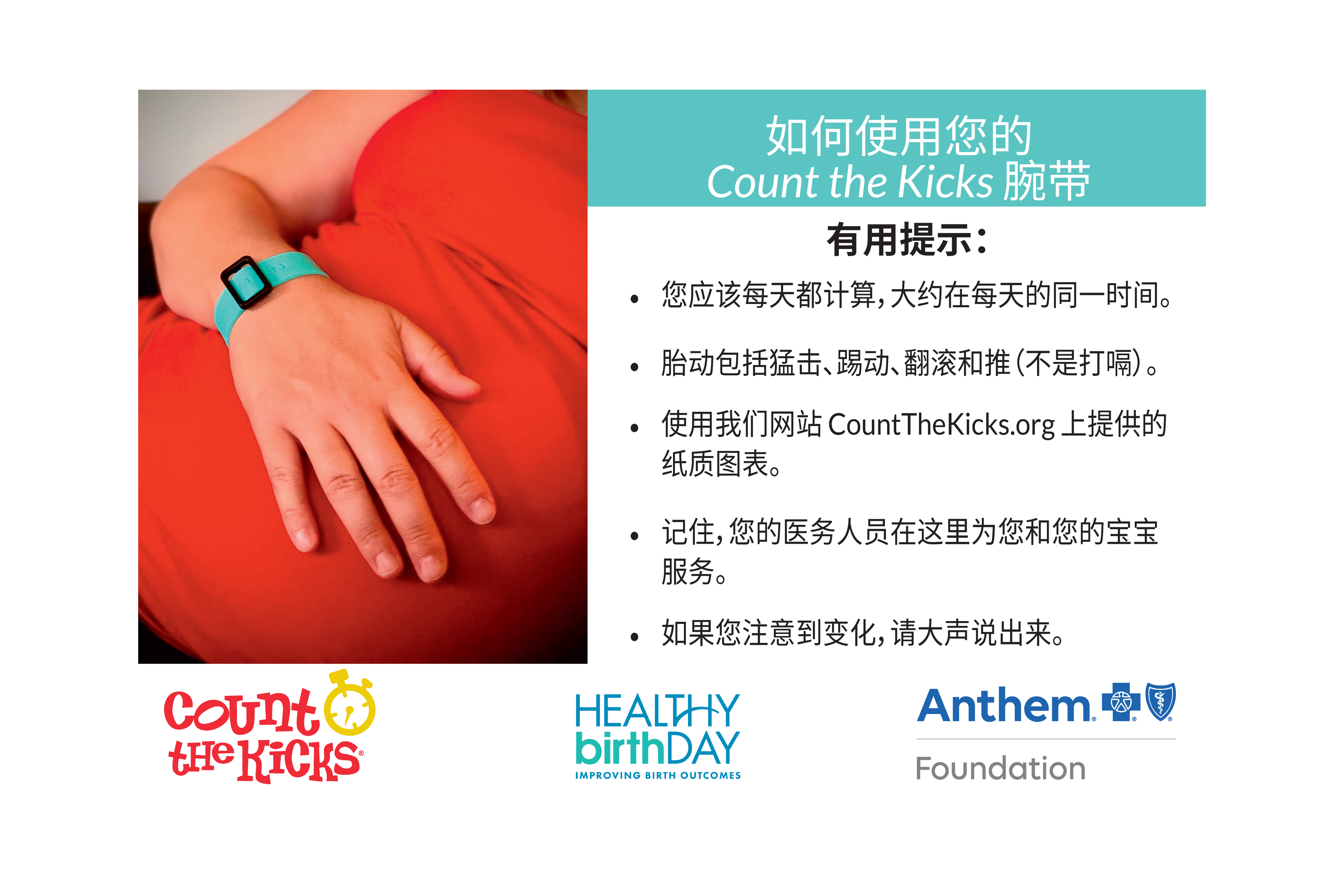 Count the Kicks Wristbands (Chinese) – CA