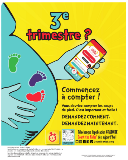 Promo Poster (French) – DC