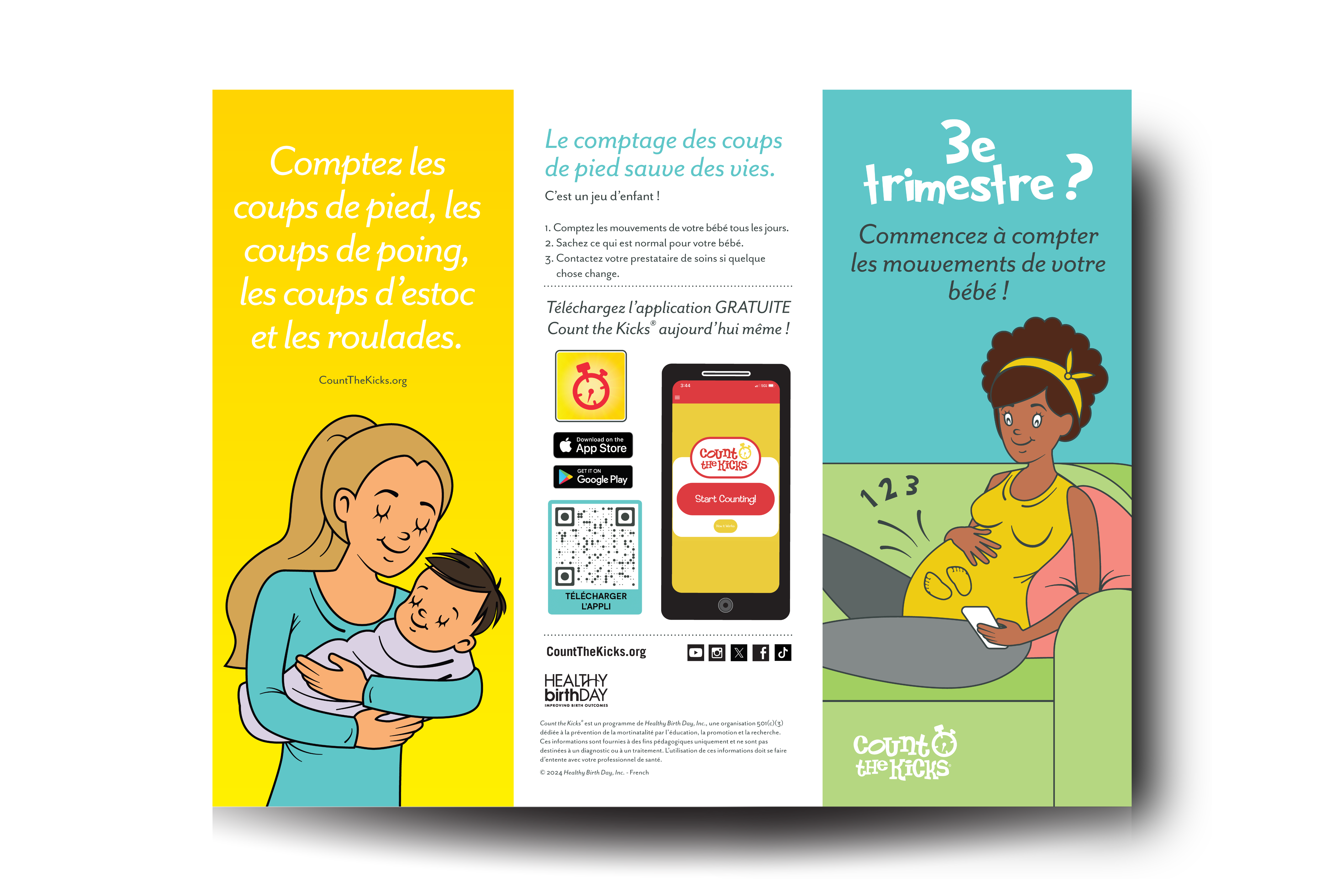 At-a-Glance Brochure (French) – DC