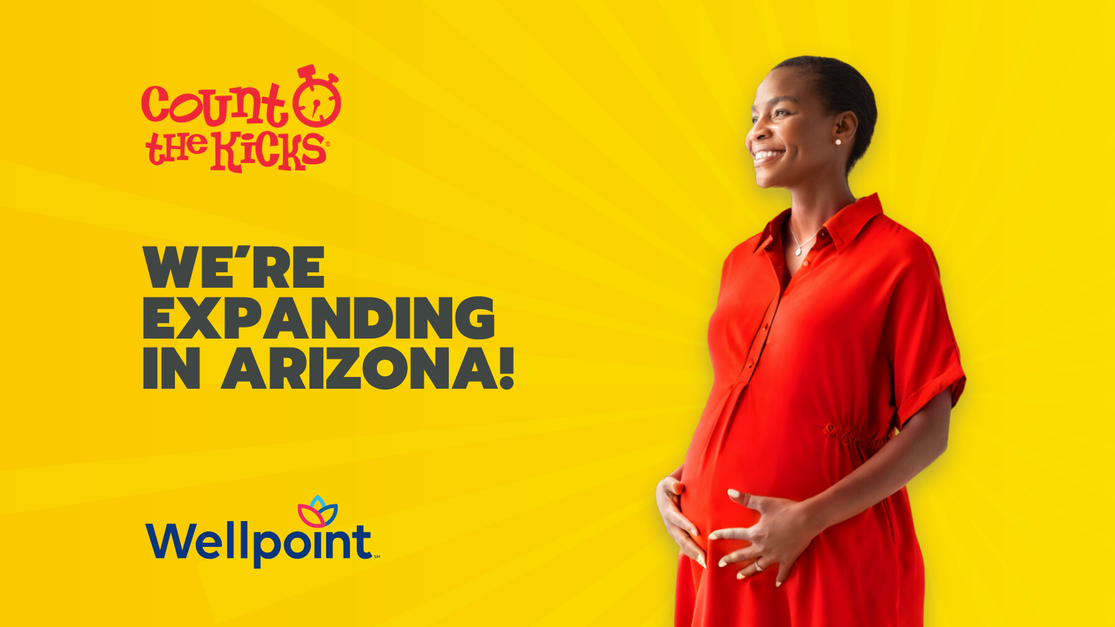 Count the Kicks Announces Partnership with Wellpoint in Arizona